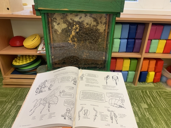Berušky včelaří-projektový den ve školce