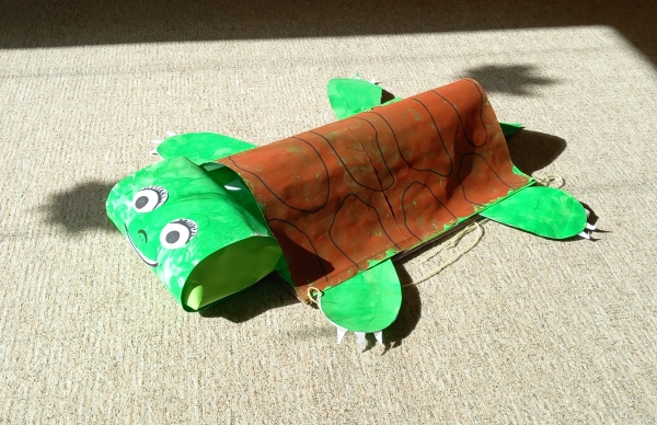 Koťátka se seznamují s pravidly