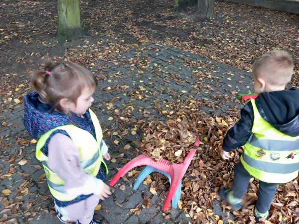 Koťátka na zahradě