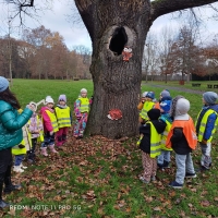 Jak jsme zamykali les