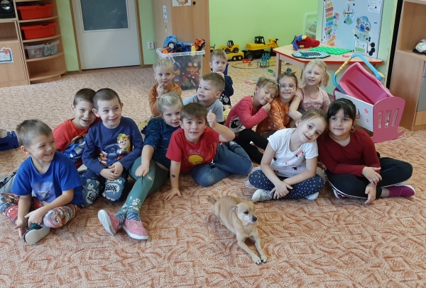 Sovičky dobré skutky dělají