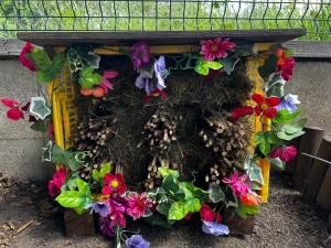 Včelky v Beruškách