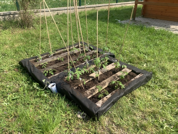 Berušková zahrádka z palet