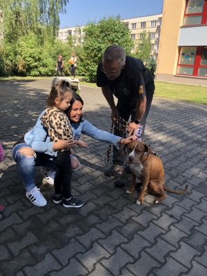 Bezpečný pes - preventivní program nejen pro Koťátka