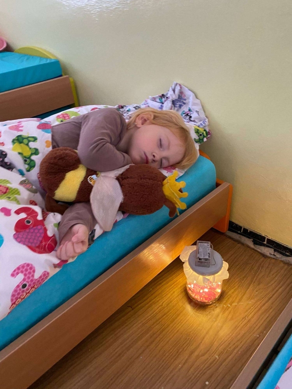 Včelka se ukl&aacute;d&aacute; k zimn&iacute;mu sp&aacute;nku🌲😴