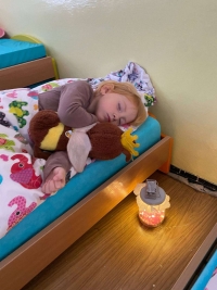 Včelka se ukl&aacute;d&aacute; k zimn&iacute;mu sp&aacute;nku🌲😴